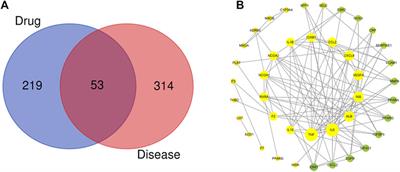 Mechanism of Action of Shenerjiangzhi Formulation on Hyperlipidemia Induced by Consumption of a High-Fat Diet in Rats Using Network Pharmacology and Analyses of the Gut Microbiota